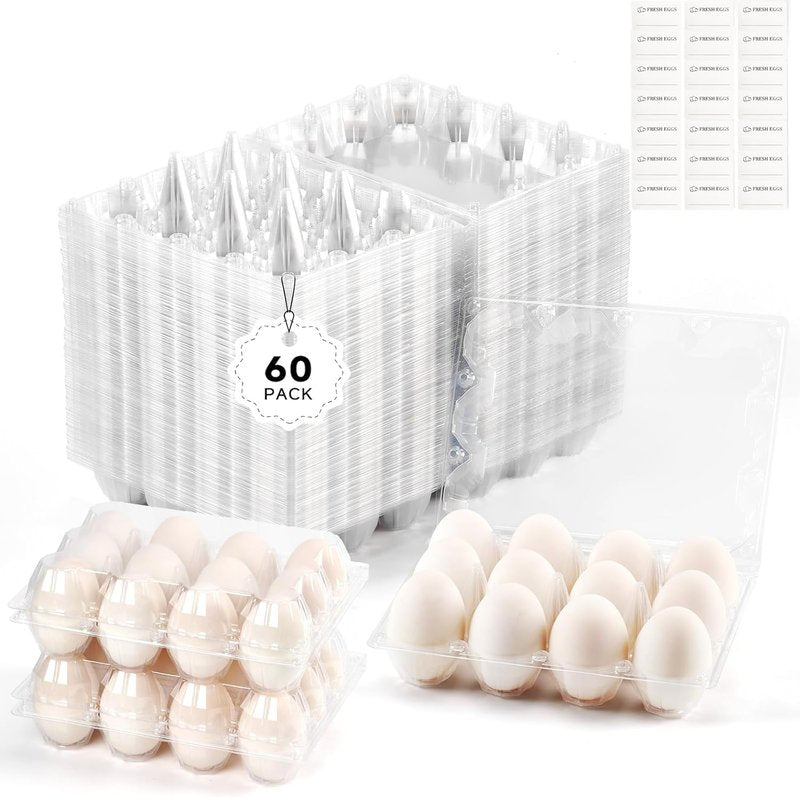YIFIHGE 60 Pack Egg Cartons Cheap Bulk 1 Dozen Jumbo Egg Cartons Extra Large Duck Egg Holders with Sticker Labels Clear Empty Plastic Egg Containers for Home Ranch Farm Commercial Market Display
