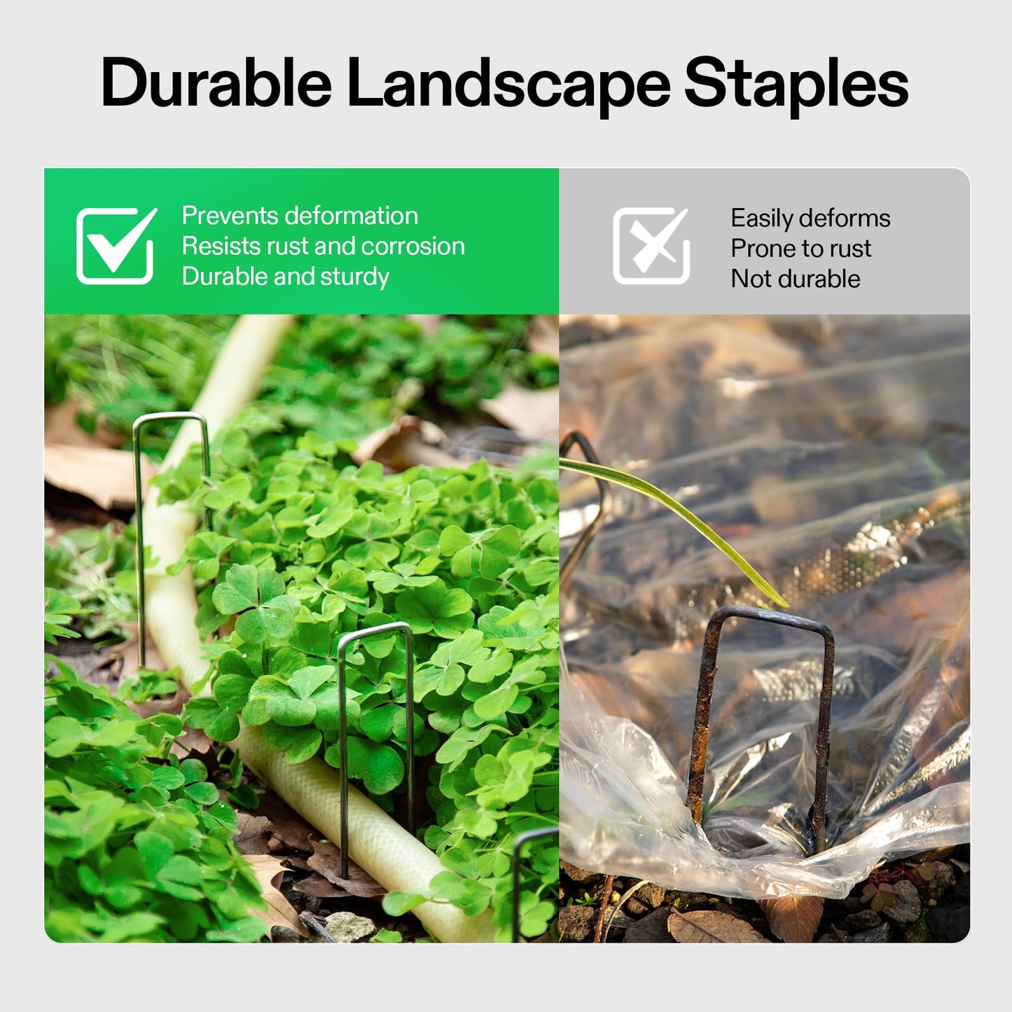 VIVOSUN 6 Inch 50-Pack Garden Stakes, Galvanized Steel Landscape Stapes 11 Gauge U-Shaped Pins for Weed Barrier Fabric, Ground Cover, Soaker Hose, Irrigation Tubing, Holding Fence