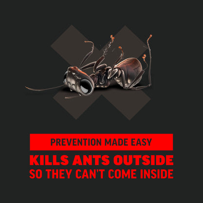 Amdro Ant Killer for Outdoor Home Perimeter, 12oz