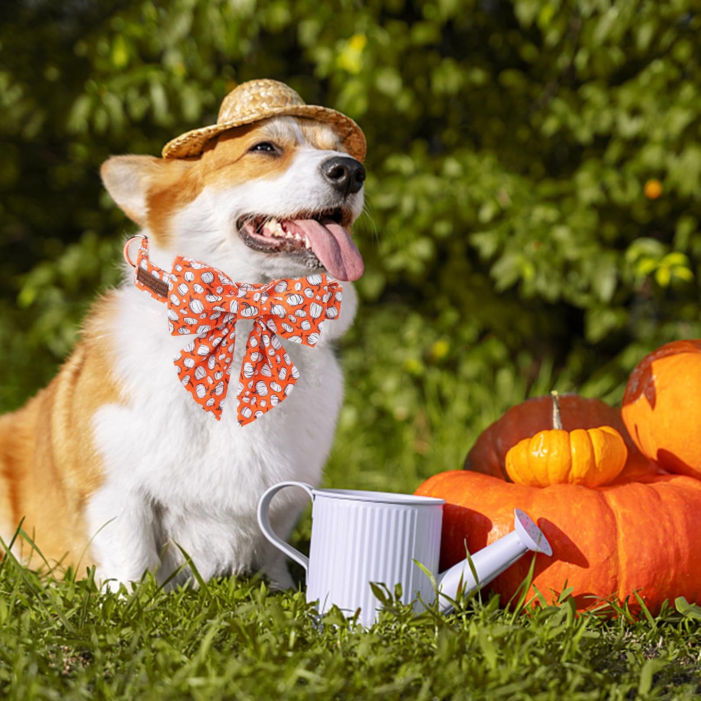 Unique Style Paws Halloween Day Dog Collar with Bowtie Line Pumpkin Cotton Dog Collars for Small Medium Large Dogs