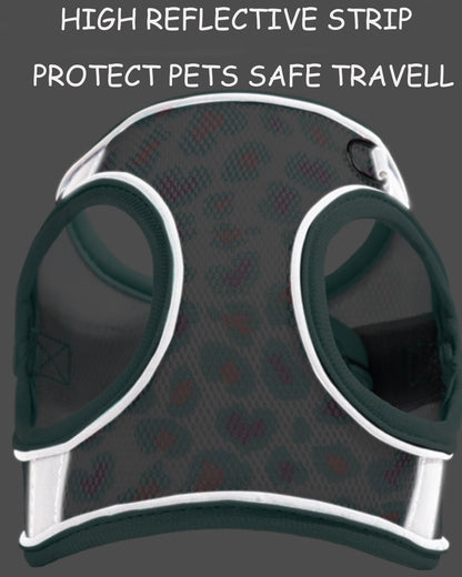 Aecllcea Dog Harness (Purple, S) - Jacquard Fabric, Easy Step-in, No Pull, Reflective Strip, Small Dog Harness and Leash Set