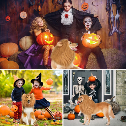 Vivifying Lion Mane Wig, Adjustable Pet Costume with Ears for Dog (Brown)
