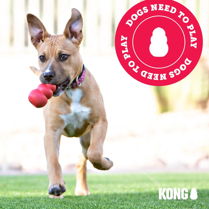 KONG WildKnots Bears Small/Medium Dog Toy