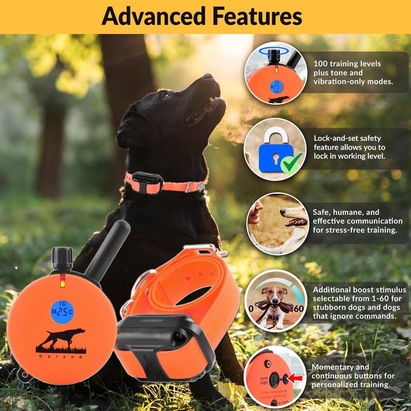Educator E-Collar Dog Training Collar with Remote | 100 Levels, Waterproof, Rechargeable, Night Light - For Medium/Large Dogs, Orange