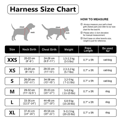 DORAMIO Step-in Dog Harness and Leash Set, Soft Mesh No-Chock Reflective Breathable Easy Walk Lightweight Vest Harnesses with Safety Buckle for Small Dogs, Cats, Puppies (Pink, XXS)