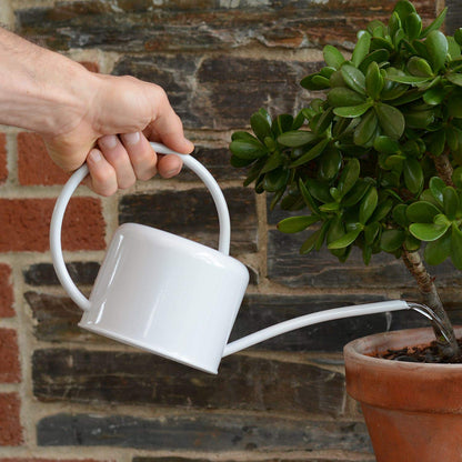 CKB Ltd® Small 1.1L Indoor Watering Can - Chalk White Coloured Galvanised Powder Coated Steel - For Houseplants Contemporary Metal Design With Narrow Spout And High Handle (Chalk)
