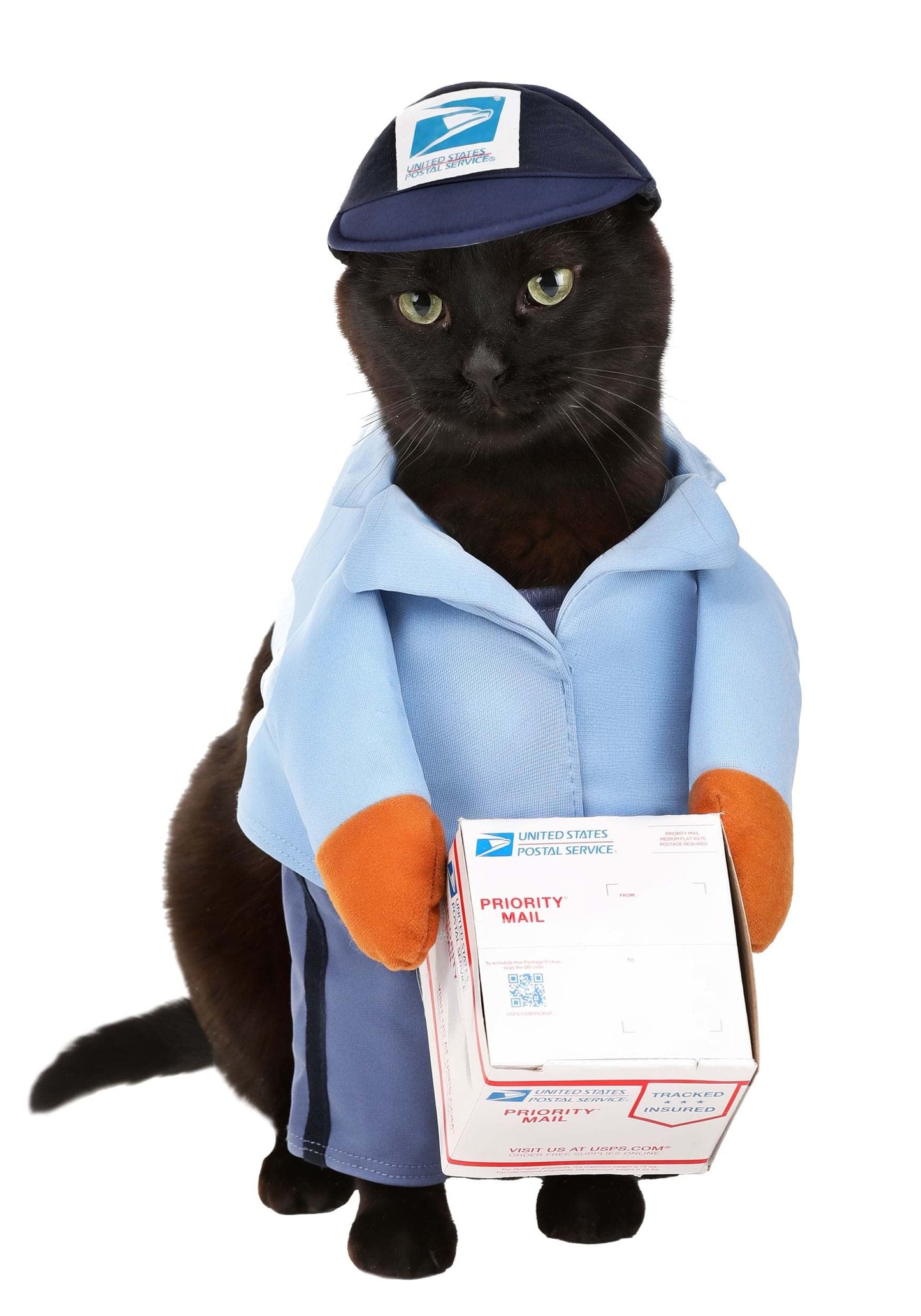 California Costumes Dog Mail Carrier Costume USPS Small Blue