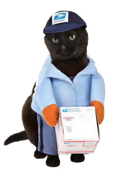 California Costumes Dog Mail Carrier Costume USPS Small Blue