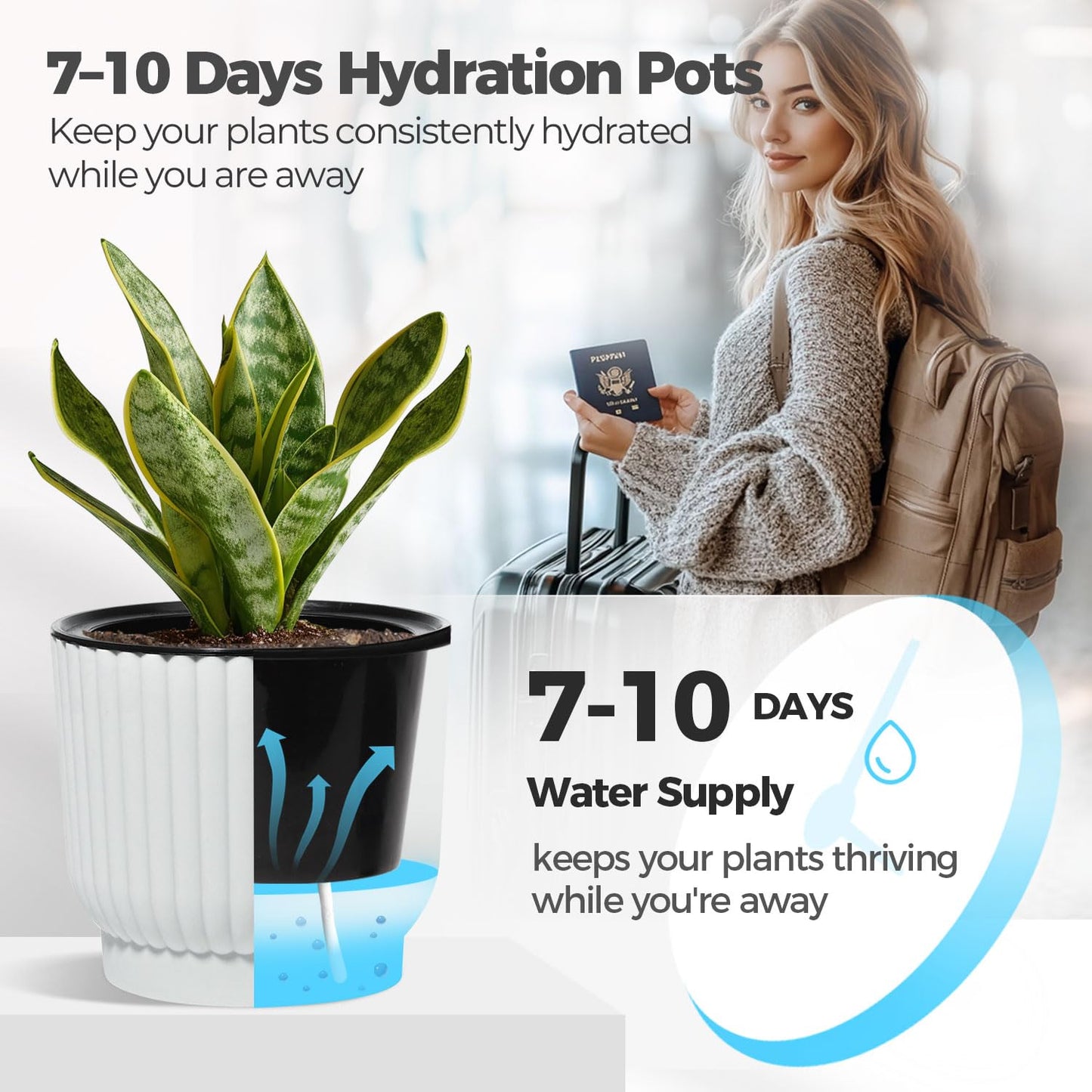 T4U 6 Inch Self Watering Pots for Indoor Plants, 6 Pack White Plastic Flower Pots for All House Plants, Flowers, African Violets