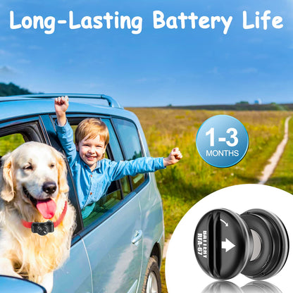 10Pack RFA-67 6V Replacement Dog Collar Batteries for PIF-300 PIF-275-19 PUL-275 PIF00-15002 PBC-102 ZIG00-16969, Compatible with PetSafe RFA-67 Battery