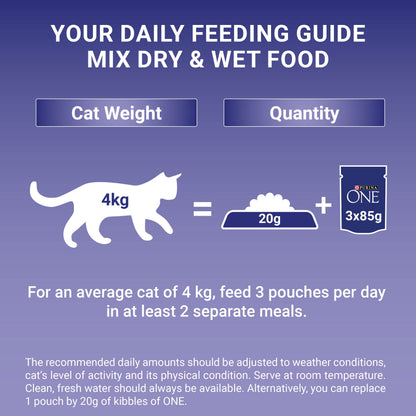 PURINA ONE Adult Cat Food Mini Fillets in Gravy 40 x 85g