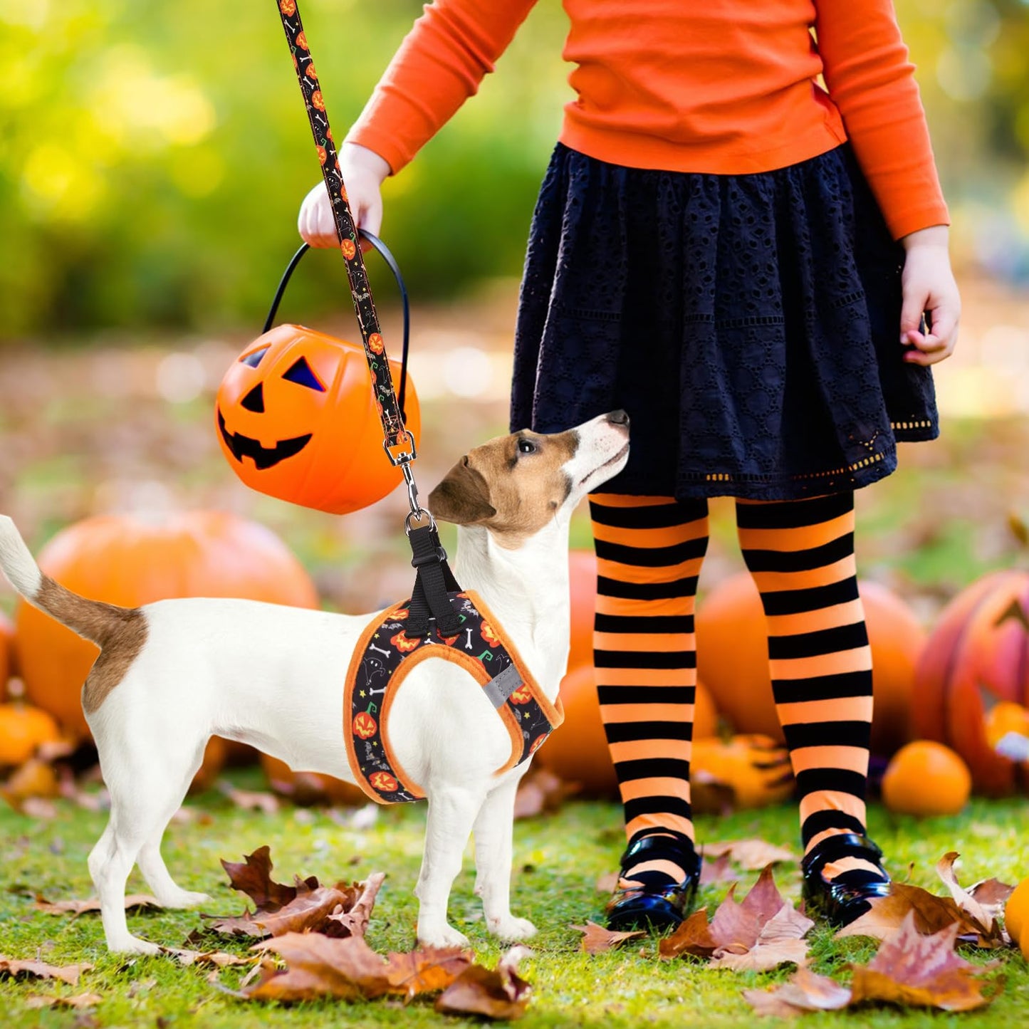PUPTECK Adjustable Dog Harness Collar and Leash Set Step in No Pull Pet Harness for Small Medium Dogs Puppy and Cats Outdoor Walking Running, Soft Mesh Padded Reflective Vest Harnesses, Halloween, S