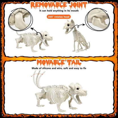 Askill 36" Skeleton Halloween Decorations, 3FT Posable Skeleton with Dog & Cat Skeleton - 5 in 1 Creepy Plastic Movable Joint Skeleton for Halloween Party Yard Decor (36inch)