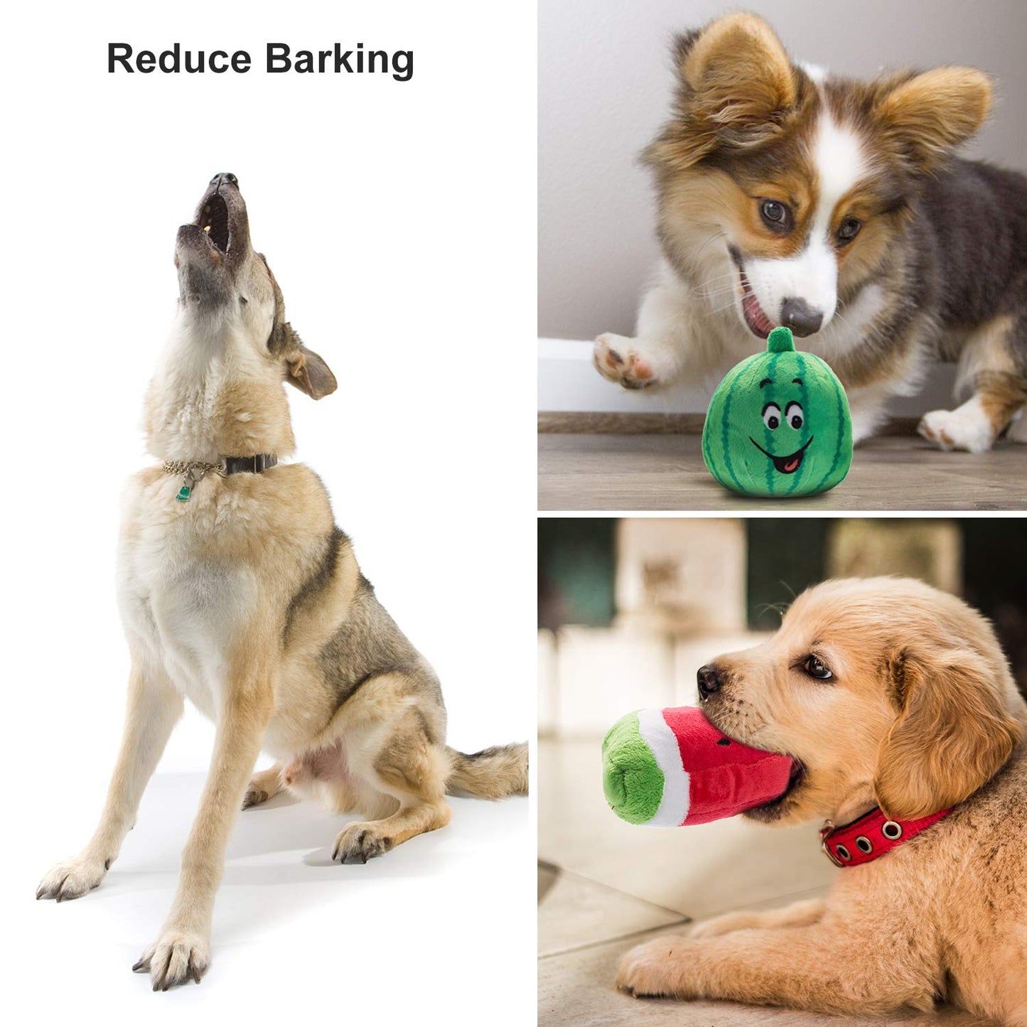 Nocciola 12 Pack Dog Squeaky Toys Cute Plush Toys For Small Medium Dog|Pet Toys|Squeaky Toys|Plush Games| Carry Bag