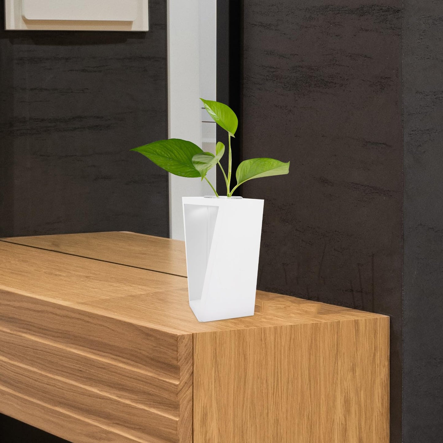 minkissy Test Tube Glass Vase with White Wooden Rack Small Hydroponic Plant Holder for Indoor Wall Garden Terrarium Home Décor