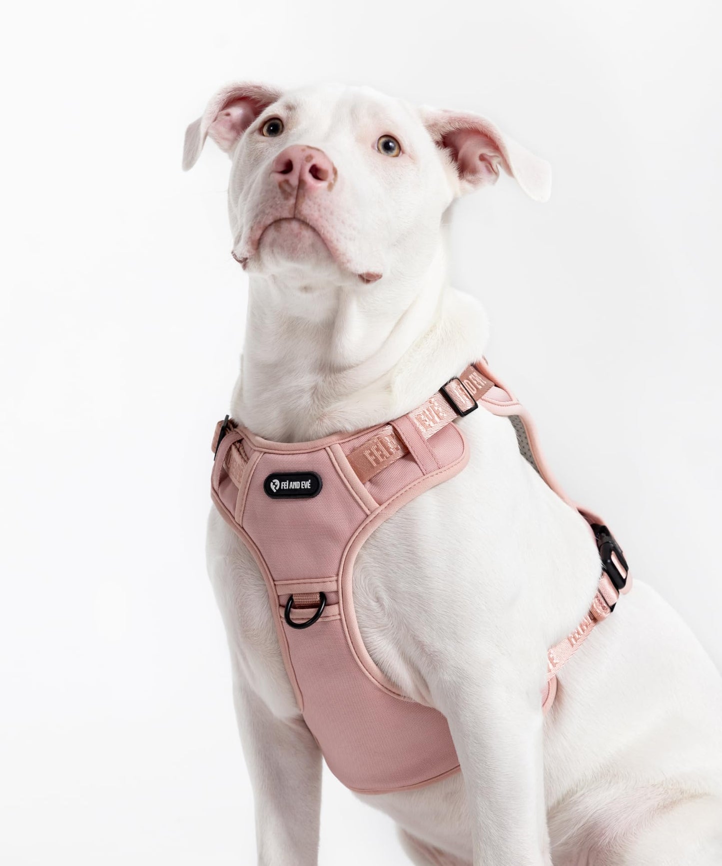 2025 New Edition, Fei & Eve MagEase Dog Harness - Patented Magnetic Buckles | 3-Point No-Pull Control | Heavy-Duty 900D Nylon | Dual Safety Handles | Breathable Mesh | Adjustable Fit | Medium, Pink
