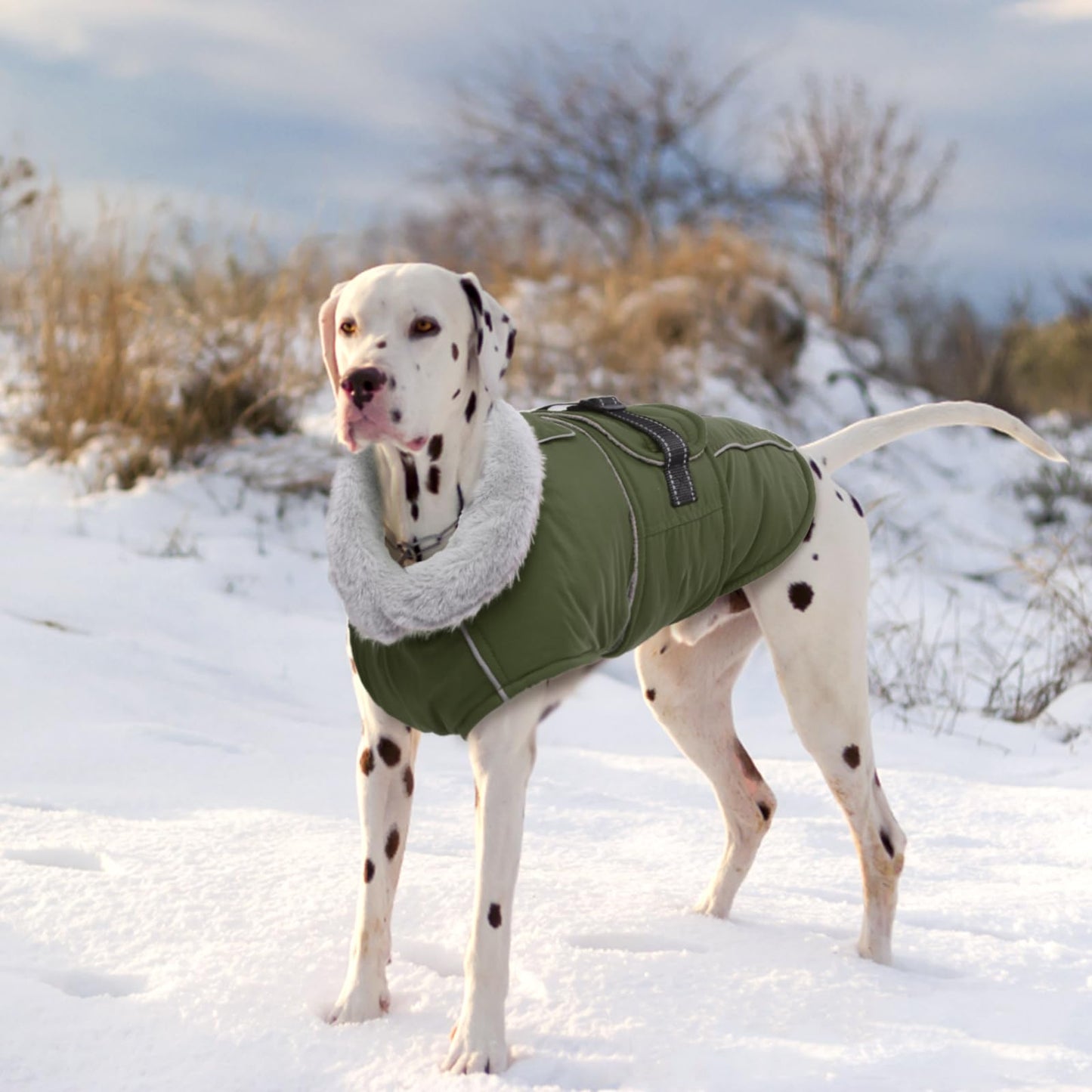Lelepet Warm Coats and Jackets for Dogs, Waterproof Winter Dog Coat for Cold Weather, Reflective Dog Puffer Jacket, Fleece Lining Pet Coat with Harness Hole for Large Dogs, ArmyGreen XL