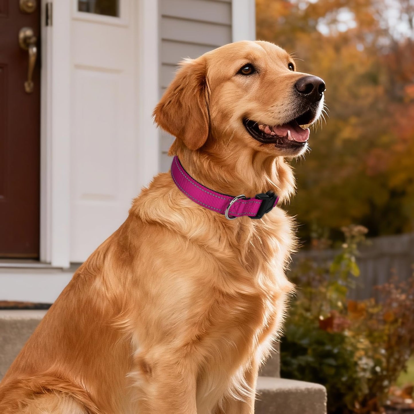 Erbine Reflective Dog Collar for Large Dogs, Wide Nylon Adjustable Collar with Soft Padding, Durable Buckle for Pitbull Labrador Retriever,Hotpink,L