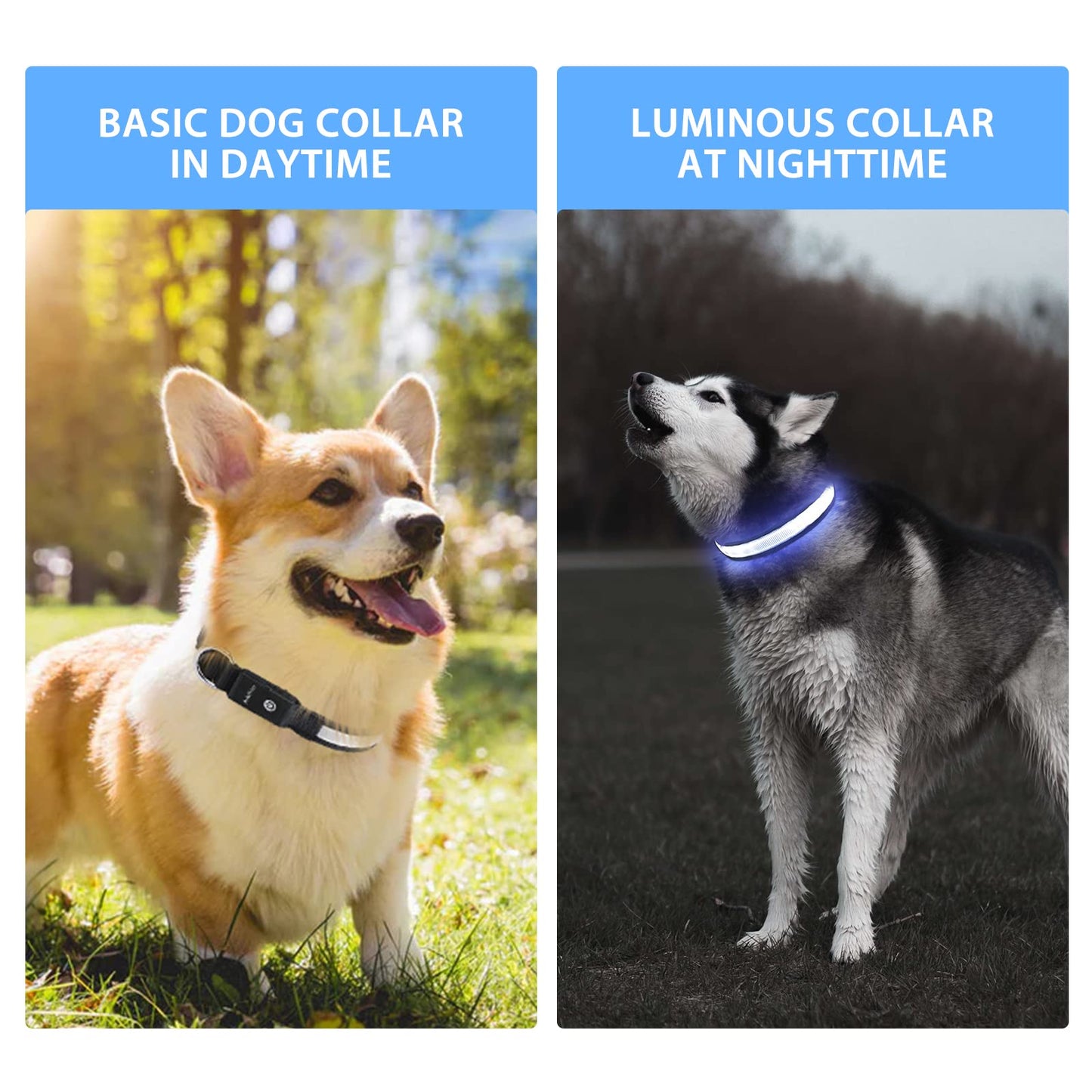 Pceotllar Light Up Collar - Rechargeable Flashing LED, Waterproof, 7 Colors, 8 Modes - Black, Adjustable for Small to Large Dogs