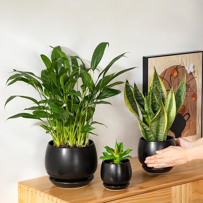 vancasso 3-Pack Ceramic Plant Pots, 3.7/4.8/6.2 Inch Indoor Planters with Saucers & Drainage Hole Planter pots for Indoor Plants and Flower, Black