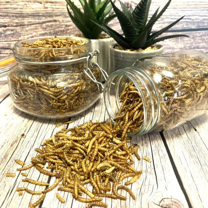 Dried Mealworms 5kg Premium Insectivorous Wild Bird Food By Maltbys' Stores 1904 Limited