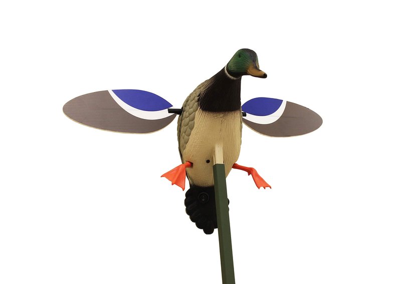 MOJO Outdoors Baby Mallard Drake Spinning Wing Decoy - Premium Waterfowl and Duck Hunting Decoy