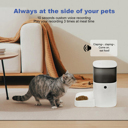Automatic Cat Feeder, 4L Cat Food Dispenser with 10s Voice Recorder, Pet Feeder up to 8 Meals per Day, Timed Dog Feeder with Dry Food Sealed Ring (White, 4L-Basic)