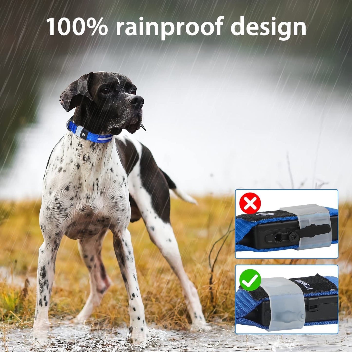 MASBRILL Luminous Dog Collar, LED Rechargeable and Waterproof Dog Collar, 3 Glowing Modes and Adjustable Size Suitable for Small Large Dogs (Blue, M)