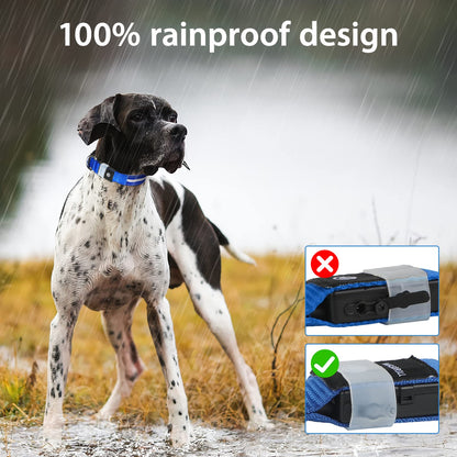 MASBRILL Luminous Dog Collar, LED Rechargeable and Waterproof Dog Collar, 3 Glowing Modes and Adjustable Size Suitable for Small Large Dogs (Blue, M)