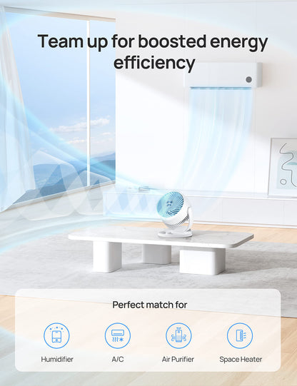 Dreo Fan for Bedroom, 12 Inches, 70ft Powerful Airflow, 28db Quiet Table Air Circulator Fans for Whole Room, 120° Adjustable Tilt, 3 Speeds, Desktop Fan for Home, Office, Kitchen