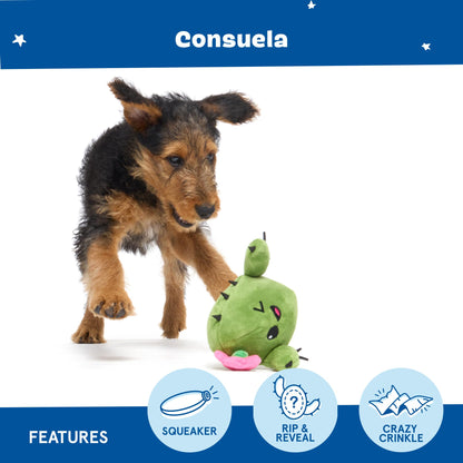 Barkbox 2 in 1 Interactive Plush Dog Toy - Rip and Reveal Toy for Dogs and Puppies - Stimulating Squeaky Pet Toys | Consuela Cactus Small