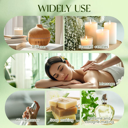 Top 12 Essential Oils Set, Pure Essential Oil for Diffuser, Humidifiers, Skin Care, Massage, Fragrance Oil Scent for DIY Candle and Soap Making, Gift for Friend