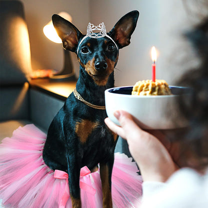 2 Pcs Dog Crown Headband Dog Tutu Dress Set Crystal Rhinestone Tiara Crown Tutu Skirt Pet Dress Costume for Puppy Birthday Party Wedding Photo Prop Costume(Large,Rose Red, White)