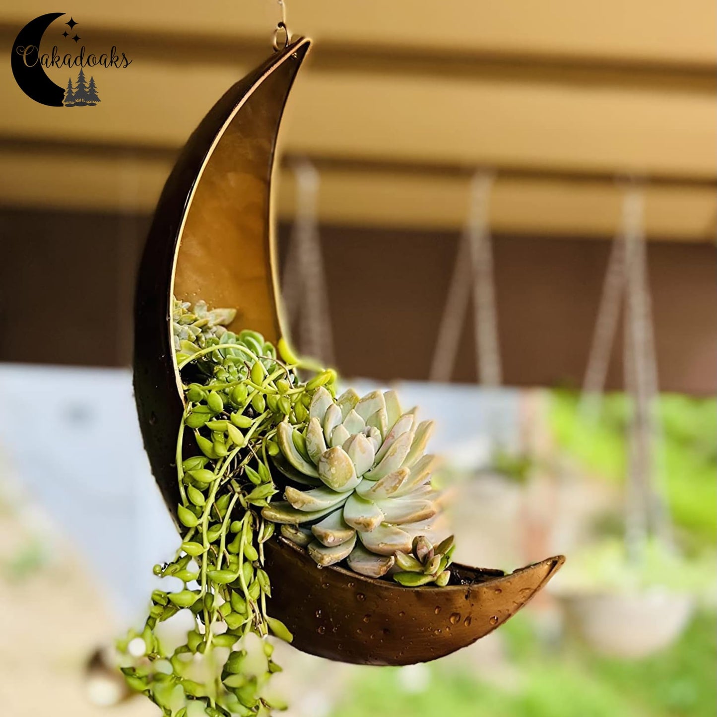Hanging Moon Planter - Moms Day Gifts for Women - Moon Room Decor - Unique Planters for Succulents,Air Plant, Cactus, Artificial Plants- Plant Lover Gifts - Boho,Hippie, Witchy, Birthdays Gifts