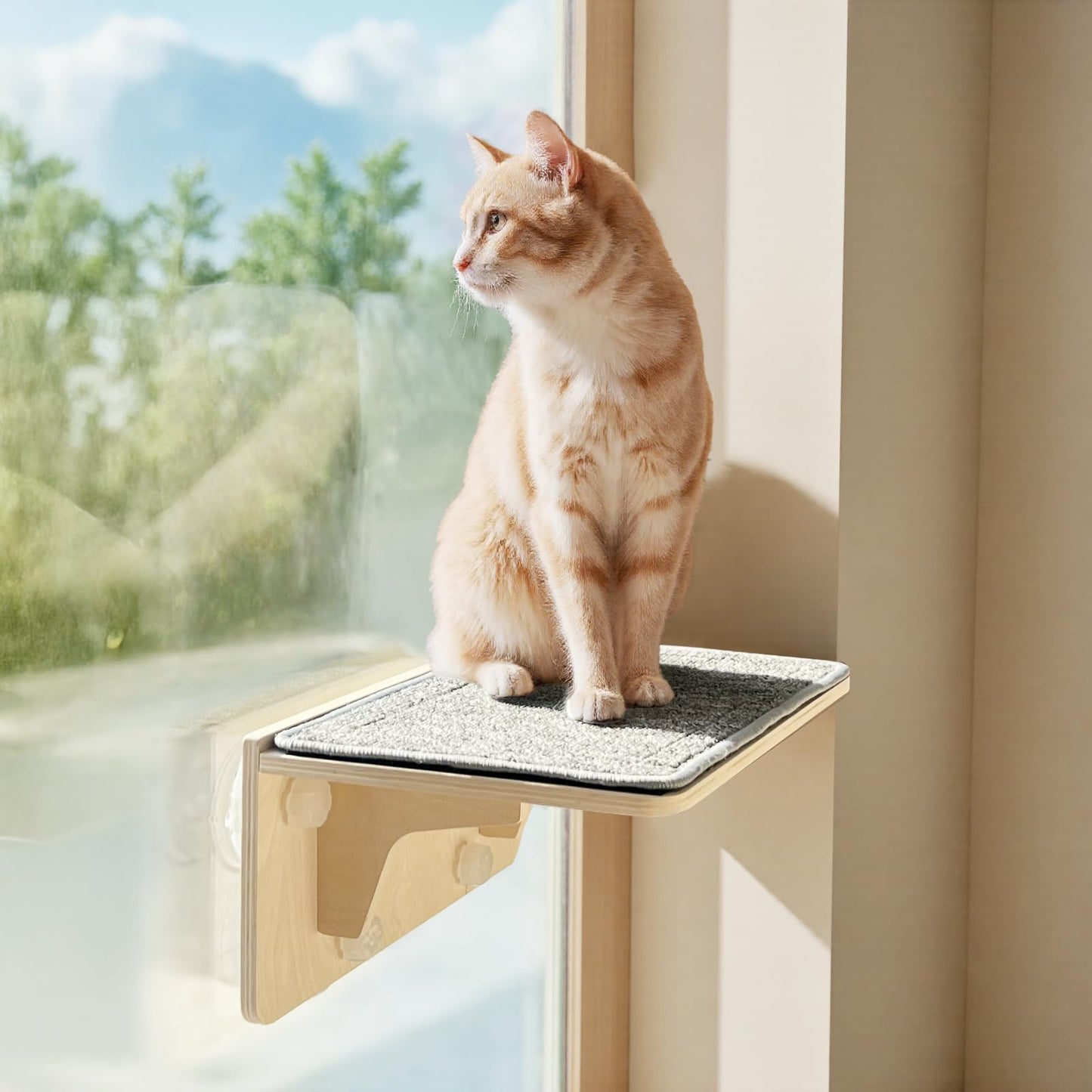 Pecute Cat Window Hammock & Wall Shelf, Sturdy Solid Wood Frame, 4 Swivel Suction Cups, Cat Window Bed Anti-Scratch & Washable Carpet Cover, Space-Saving Suitable for Cats Sunbathing, Hold Up to 18kg