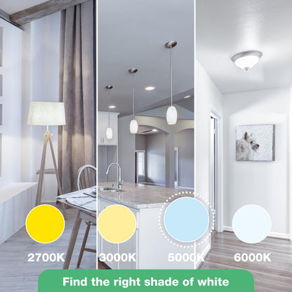 DEGNJU LED Light Bulbs, 100 Watt Equivalent LED Bulbs A19, 5000K Daylight, E26 Standard Base, 1500 Lumens, Non-Dimmable, 13W Bright White E26 Bulbs for Bedroom Home Office, 24 Pack