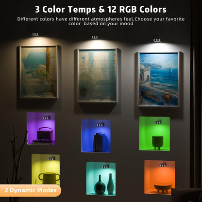 3PCS Picture Lights with Remote, Rechargeable Battery Magnetic Poster Lights with 3 Color Temps&12 RGB, Dimmable and Timer Metal Art Light for Display, Wall, Artwork, Gallery (Black)