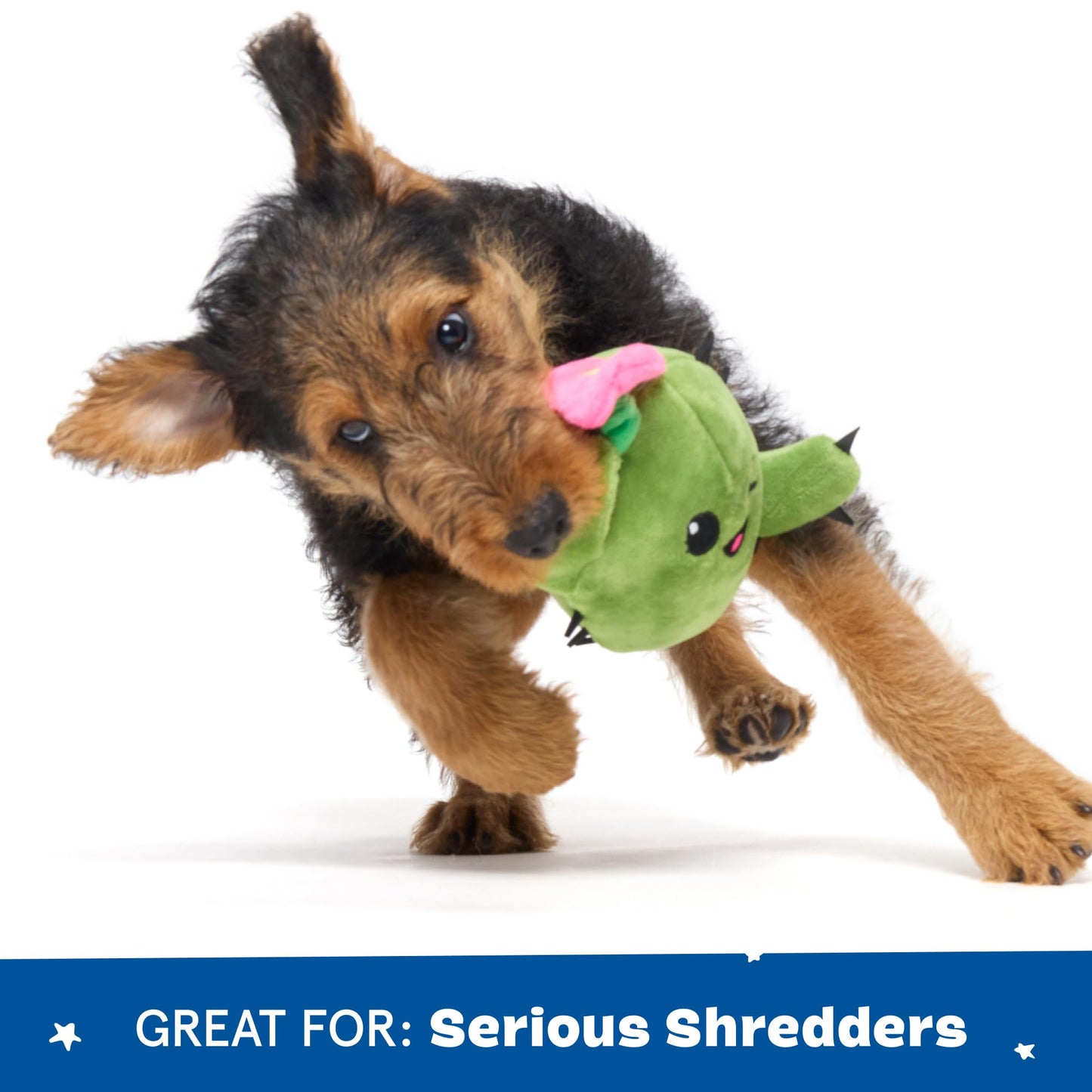 Barkbox 2 in 1 Interactive Plush Dog Toy - Rip and Reveal Toy for Dogs and Puppies - Stimulating Squeaky Pet Toys | Consuela Cactus Small