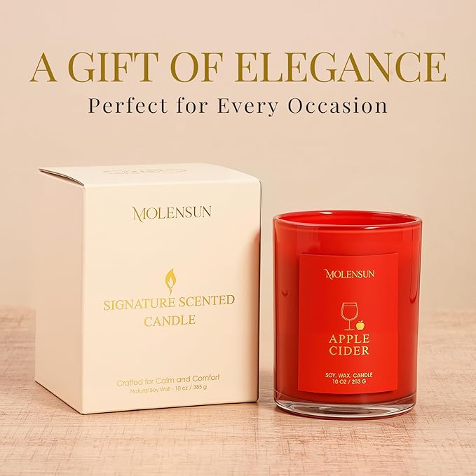 Apple Cider Candle, 10oz Soy Scented Candle for Home, Christmas Birthday & Holiday Gifts for Women & Men, Long Lasting 50+ Hour Clean Non-Toxic Burn, Elegant Winter & Christmas Festive Home Decor