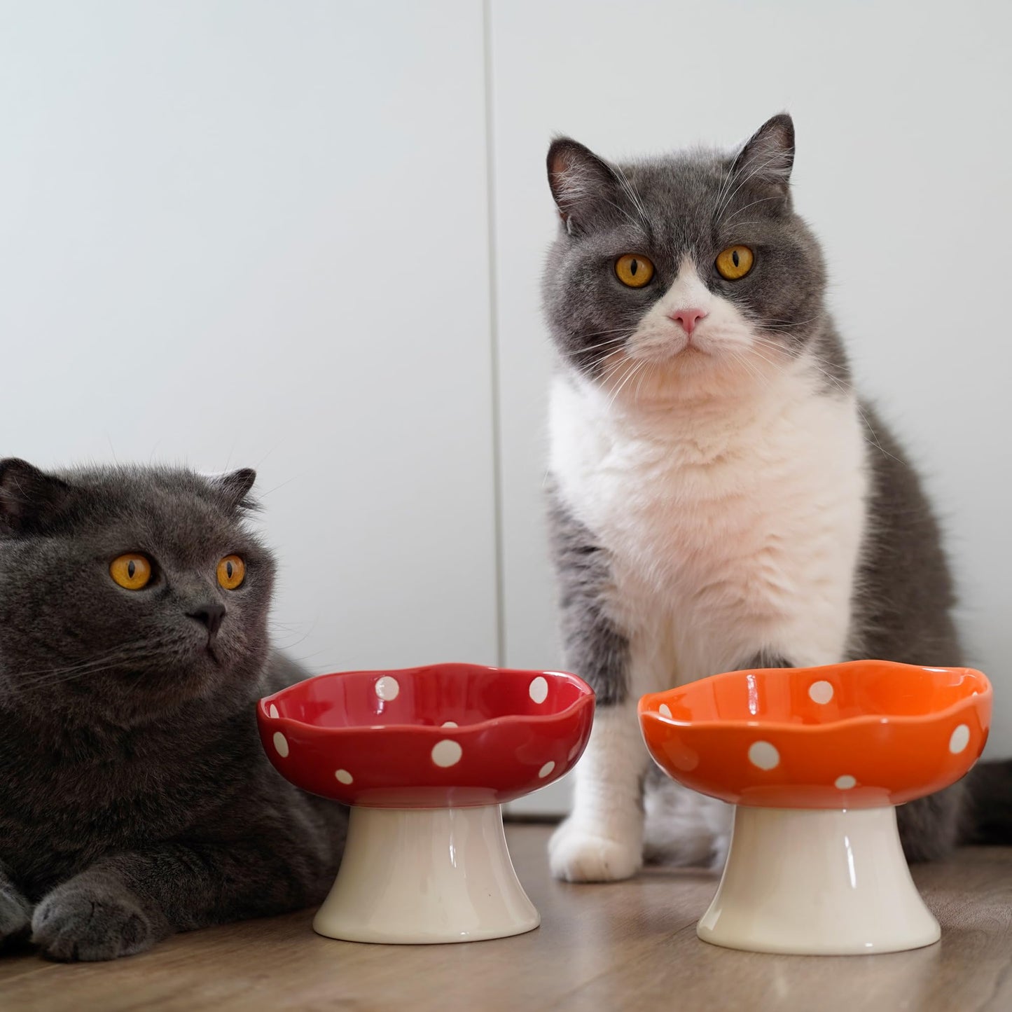 Ceramic Elevated Mushroom Cat Bowls, Tilted Raised Pet Dish Anti Vomit Kitten Bowl for Indoor Cats, Whisker Friendly Pet Food and Water Bowl for Kitten, Cat, Puppies, Dishwasher Safe (Red)