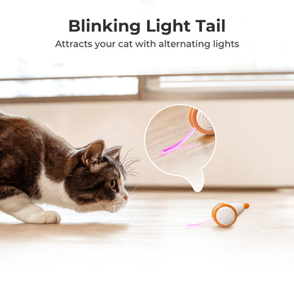 Cheerble Interactive Cat Toys for Indoor Cats, Automatic Cat Toy with LED Lights, Wicked Mouse Toys, Kitten Toys, Pet Supplies, Smart Electric Cat Toy, USB Rechargeable, Auto On/Off(Yellow)