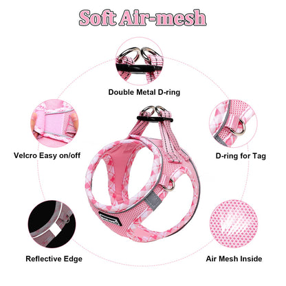 DORAMIO Step-in Dog Harness and Leash Set, Soft Mesh No-Chock Reflective Breathable Easy Walk Lightweight Vest Harnesses with Safety Buckle for Small Dogs, Cats, Puppies (Pink, XXS)