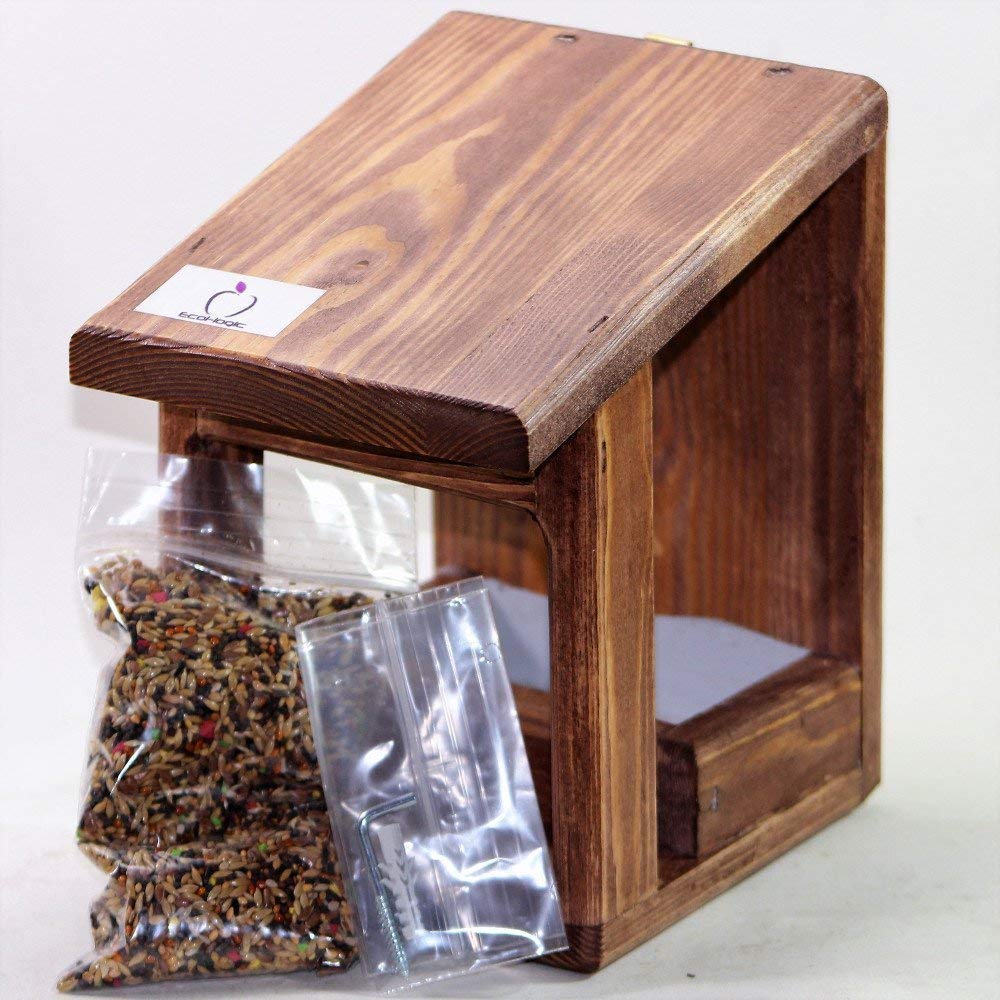 Bird feeder