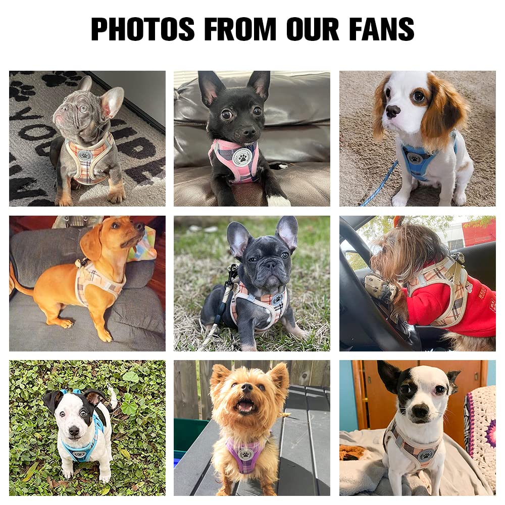 BEAUTYZOO Small Dog Harness and Leash Set,Step in No Choke No Pull Soft Mesh Dog Harnesses Reflective for Extra-Small Medium Puppy Dogs and Cats, Plaid Dog Vest Harness for XS S Pets, Beige XS