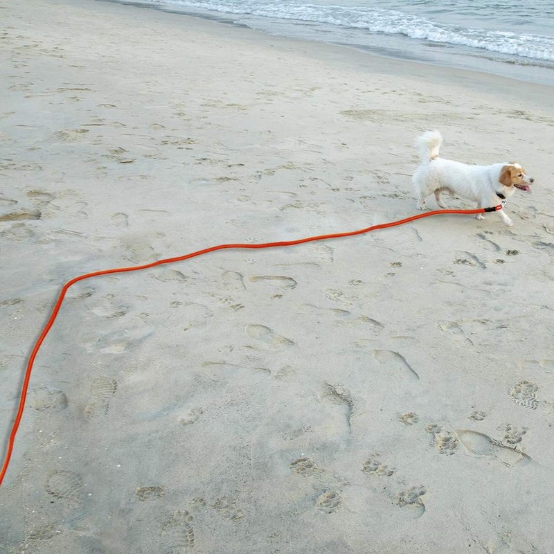 Vivifying Floating Long Dog Leash, 32FT Long Leash for Dog Training, Lightweight Check Cord for Outdoor, Hiking, Swimming, Beach and Lake