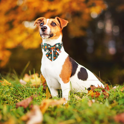 DOGWONG Fall Dog Collar with Bowtie, Halloween Pumpkin Pet Collar in Soft Cotton for Small, Medium & Large Dogs