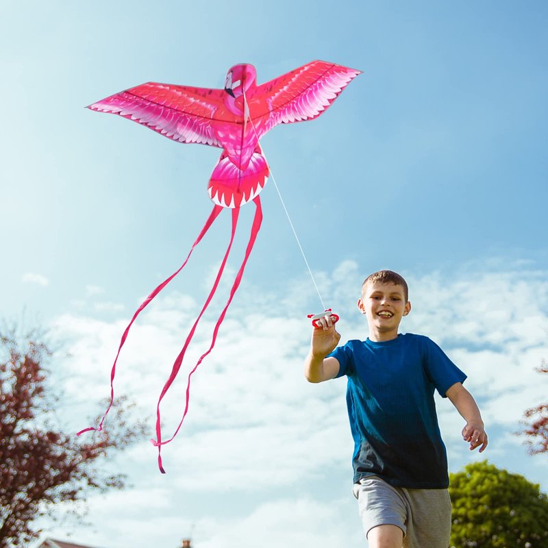 Mint’s Colorful Life Pink Kite for Kids Adults, Large Flamingo Bird Kite Easy to Fly Beach Kites