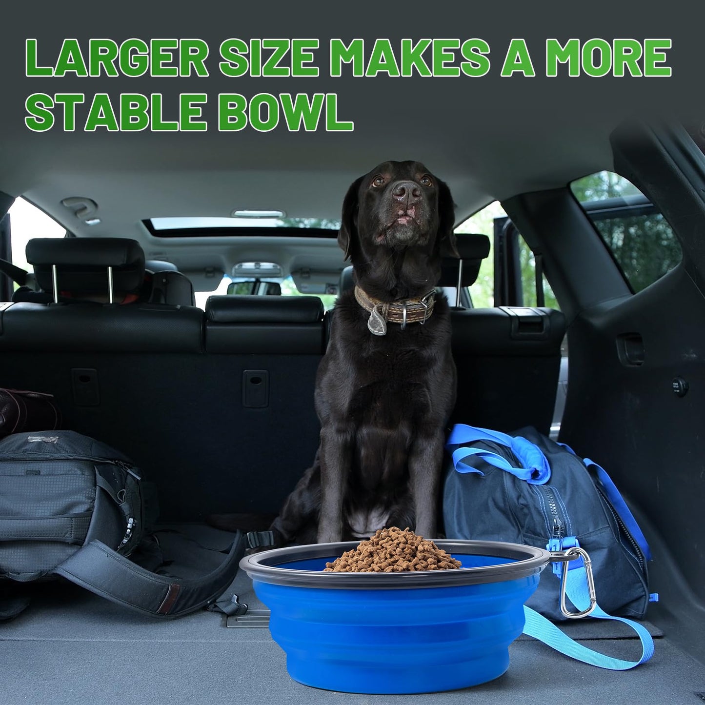 Dog Bowl Pet Collapsible Bowls, 2 Pack for Cats Dogs, Portable Pet Feeding Watering Dish for Walking Parking Traveling with 2 Carabiners (Small, Blue+Green)