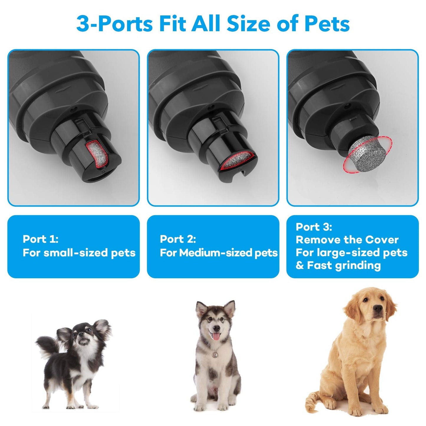 Casfuy Dog Nail Grinder with 2 LED Light - New Version 2-Speed Powerful Electric Pet Nail Trimmer Professional Quiet Painless Paws Grooming & Smoothing for Small Medium Large Dogs and Cats