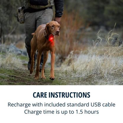 RUFFWEAR The Beacon Dog Safety Light, Waterproof Dog Collar Light, LED Pet Dog Collar Buckle Night Light, Safety Clip On Flashing Dog Light for Dog Leads & Harnesses, Rechargeable Dog Light, Clear